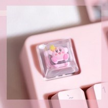 적축 은축 회축 청축 흑축 녹축 기계식 키보드 스위치 갈축 귀여운 소녀 선물 만화 투명 수지 DIY 캡 체리 MX 개성 게임 백라이트 키캡 1 개, 11.SA Profile, 없음
