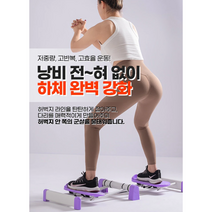 지방순삭 자세교정 근력향상 에어스케이팅 홈 다이어트 무소음 고반복 고효율