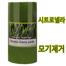 아로마 모기제거 퇴치시트로넬라 외 (택1) 향초 캔들 양초 필라, 05.시트로넬라, 1개