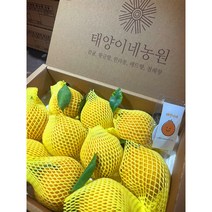 제주 한라봉 3kg 5kg 선물용 가정용 특산물 노지 하우스, [5kg] 선물용 13~17과 특대봉