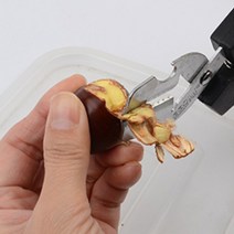 밤가위 기계 밤칼집내기