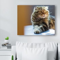 귀여운 고양이 사진 캔버스액자 (고객님 야옹이 사진으로도 제작 가능합니다), CAT15