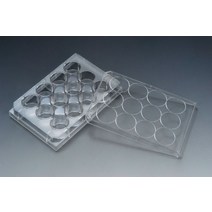 SPL Cell culture plate 12well (50EAbox) 세포배양 30012
