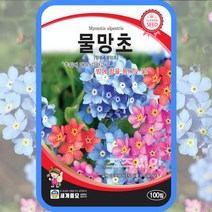 물망초 100립/ 꽃씨 물망초씨앗 물망초씨