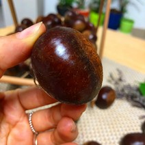 충주밤 소태밤 옥광 이평 석추 햇밤 1kg, 석추밤 대 1kg 1/25발송