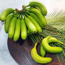 친환경 마음밭 국내산 후숙바나나 1.5kg 2.5kg 10kg 무농약 및 유기농, 1.5kg(초록바나나), 1박스