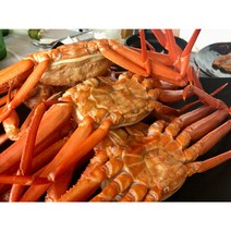 우리푸드 포항 구룡포 후포 연지홍게 붉은대게 자숙, [수율 80% 이상]붉은대게 중 사이즈, 5미