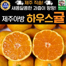 제주 하우스귤 선물용 5kg 소과 58-130과 추석선물 명절선물, 상세페이지 참조, 상세페이지 참조, 상세페이지 참조