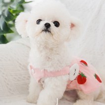 메이 도기 구름 딸기 민소매 원피스 애견 의류 강아지옷 반려 동물 애견옷 패션, 구름 딸기 민소매 원피스 / 핑크 S