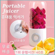 USB 휴대용 텀블러 미니 믹서기 블렌더, 그린