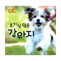 세이펜 통통 자연동화 : 호기심 많은 강아지 : 세이펜적용, 키움북스