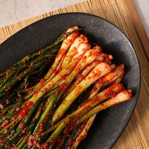 맛군 젓갈부터 다른 당일생산 전라도 파/총각/갓/배추 김치 이씨네식품, 파김치 1kg