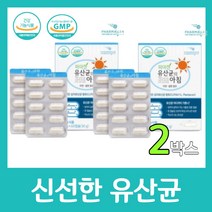 파마젠 유산균의 아침 생 프로바이오틱스 500mg 60캡슐 특허 김치 유산균 200억 온가족 장 건강 어린이 어르신 선물 18균주 아연 셀렌, 60캡슐 X 2박스