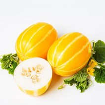 신선코리아 성주참외 농장 산지직송 못난이 가정용 3kg 참외 당일수확 박스 포장 제철과일 황금알참외 시세, 못난이 가정용4kg