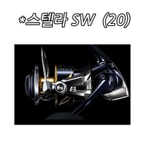 시마노 스텔라 SW 6000HG (20) 윤성정품