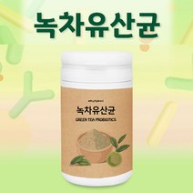 녹차유산균 락토바실러스 플란타룸 분말 람노스 김치 루테리 유산균 가루 230g, 1개, 1통