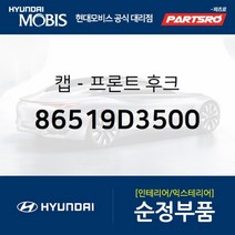 캡-프론트 후크 (86519D3500)-현대모비스 부품 공식대리점 온라인쇼핑몰 파츠로 투싼, 1개