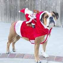 월드마트 크리스마스 애완견 승마 산타의상 강아지산타 따뜻한옷, 레드