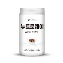 뉴트로웨이 농축유청단백질 WPC 600g 쵸코맛, 1개