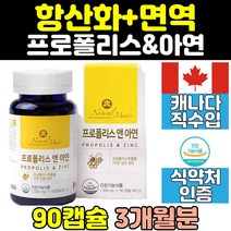캐나다 산 골드 프로폴리스 아연 키즈 아이 캡슐 어린이 플라보노이드 원액 추천 영양제 식품 제품 음식 면역 항산화 영영제 고등학생 고시생 원료 공시생 온가족 선물 수험생 멀티
