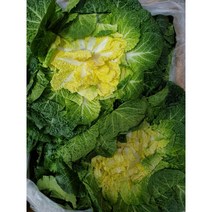 고소한 봄동 5kg 10k 봄동 배추 나물, 10kg
