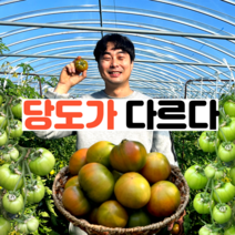 [확실한 당도] 부산 대저 짭짤이 토마토 2.5kg, [프리미엄] 초고당도 짭짤이 토마토 2.5kg