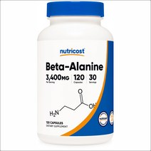 뉴트리코스트 베타 알라닌 3400mg 캡슐형, 1개, 240캡슐