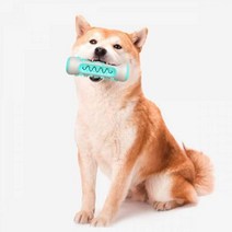 ForU234 치석관리 스마트 반려동물 장난감 터그 강아지인형 노즈워크 애완용품 놀잇감, 상세페이지 참조