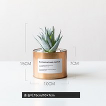작은 화분 장식 모사 식물 다육 조화 거실 실내 테이블 장식 북유럽 그린 식 ins 풍 분경 선물, 골드철항아리+로즈알로에