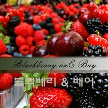 마리포사 디퓨저 프래그런스 오일 50ml 100ml 디퓨저 캔들 향수, 러브스펠 50ml(연인이 생각나는 은은한꽃향기)
