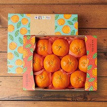 (롯데백화점)제주 레드향 1.6kg 10-12과 과일선물세트