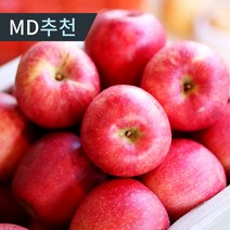[당일수확] 햇 빨간사과 가정용 고당도 꿀사과 홍로 부사 사과, 3kg 소과(15-16과), 1개