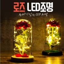 감성 플라워 LED 조명 유리 꽃다발 줄조명 선물, 로즈 LED조명-레드