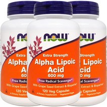 3병 Now Foods 알파리포산 Alpha Lipoic Acid 600 mg 120정