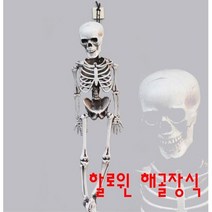 해골 뼈모형 호러물 무대 할로윈 행사소품