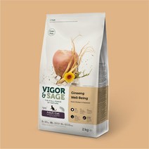 비고앤세이지 진생 웰빙 어덜트캣 고양이 사료 2kg