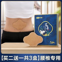 부모님 정통파스 목 특수 척추협착증 무릎 파스 연골 어깨 근육 전신 삔데, 02