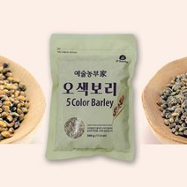 예술농부가 국내산 햇 오색보리 500gx14봉 (2022년 산), 단품