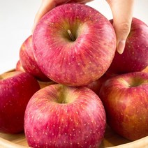 [22년] 고당도 청송사과 햇 부사 정품 선물용 5kg (19~20과)