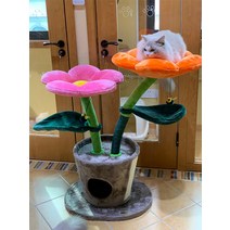 고양이 캣타워 Compait-catry 케리 꽃 등반 트리 헤어 키튼 박스 노묘 아기 낮은 캣폴 DIY, 꽃 냄비