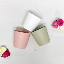 에코플로 메종포트볼 12cm 플라스틱화분소형 미니화분, 그린, 2개