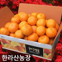한라산농장 천혜향 10KG 5KG 농장직송 홍보용, 천혜향 10KG 랜덤1종 발송(소/소중/중/대)