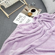 노리스 와플 극세사 담요