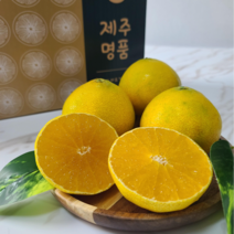 (26일 오전9시 주문마감) 제주 산지직송 황금향 명품 선물세트, 로얄과 2kg + 선물포장