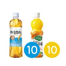 웅진 하늘보리 제주감귤, 하늘보리 10 + 제주감귤 10, 500ml