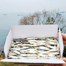 디포리(밴댕이) 육수용 300g