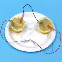 SA 안전 집게전선 과일전지 LED형 1인용 포장, 1개