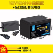 농약통 농사 원예 농업 다용도 자동분무기 스마트 고압 농촌 살포 배낭, 12V12AH(6근)+핀홀 충전기