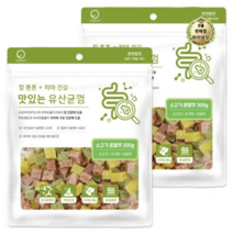 라이브잇 굿데이 맛있는 유산균껌 강아지 간식, 24개, 300g, 소고기