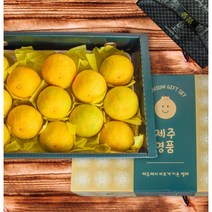 [두비두밤] 고당도 프리미엄 제주 황금향 2kg 3kg 5kg 최고급 기업 선물, 추가 안함, 3kg (5-15과)